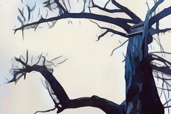 "重逢之爱!四大生肖情侣分开后惊喜再遇,展现独特吸引力!"