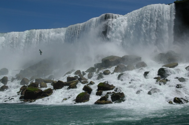 2024年走运的生肖 成功逆袭走向巅峰