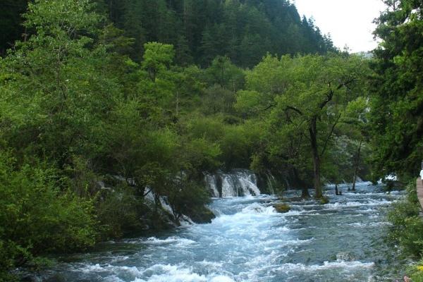 属龙人命中二婚 龙二婚命幸福吗