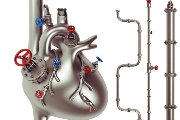 2024年属龙本命年不能带什么,不适合属龙人的吉祥物