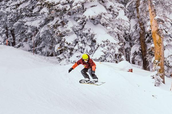 属兔选车牌号什么最佳 选择水属性数字