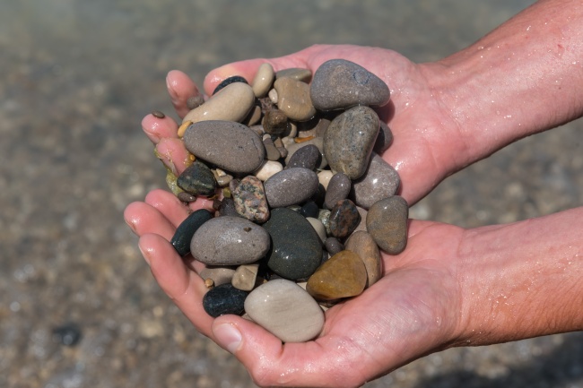 2023年7月28日冲什么属相 每日冲煞查询