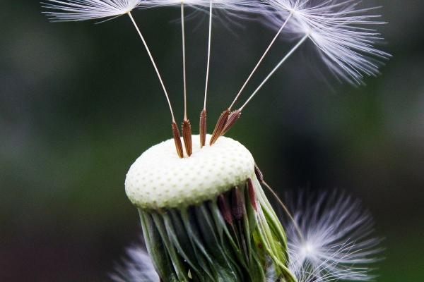 "不可思议!这4个生肖出轨率最高,你敢信?"