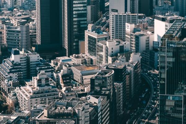 属狗人几时遇真爱 2023年感情运势分析