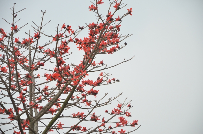 "命中注定!揭秘四大生肖情侣分开后再度相遇的新颖情缘!"