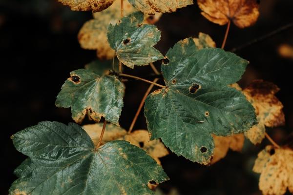 1997年属牛创业的最佳时间，什么时候创业最好