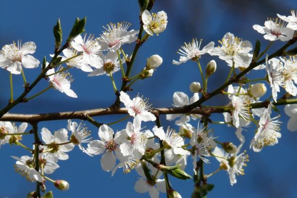 1997年属牛一生坎年在何时,97年牛的劫难在几岁