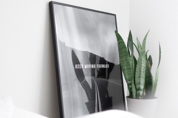 善良与冷酷并存！四大生肖展现善良狠心的双重魅力！