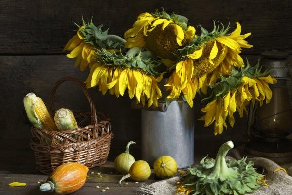 专属缘分!四生肖一旦爱上你,绝对忠诚!