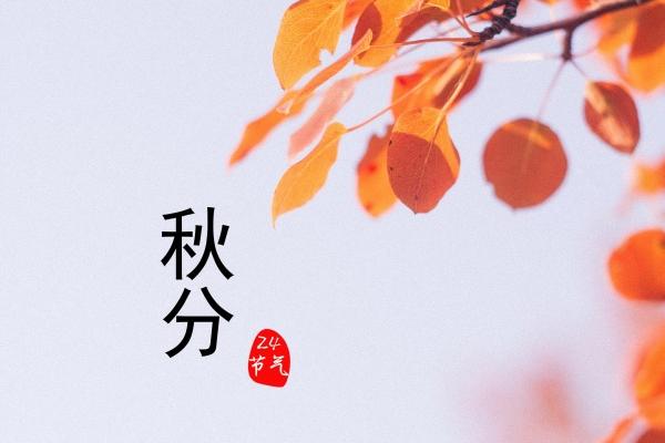 传媒起名：文化传媒公司名字起名大全三字