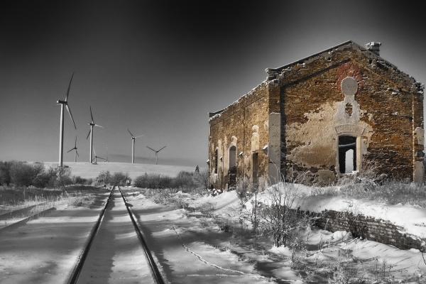 鸡跟猴合不合 属鸡和属猴婚姻怎么样