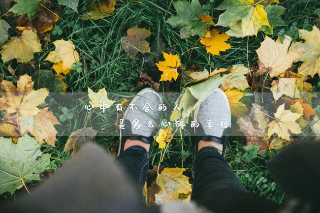 "爱情至尊!四大生肖女教你如何找到值得你用一辈子去爱的人!"