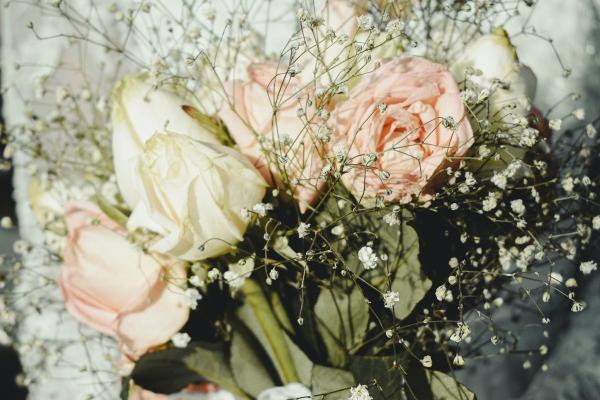 属兔的选车牌什么号码吉利 车颜色怎么选择