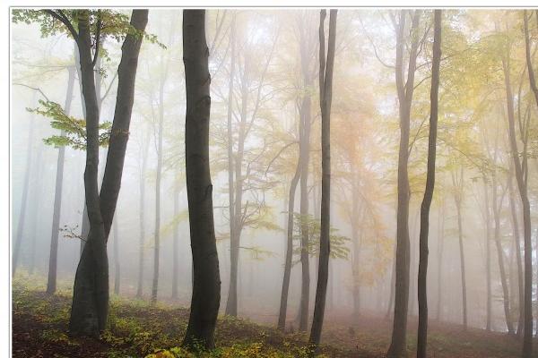 2024年无春年三不准 无春年结婚怎么样