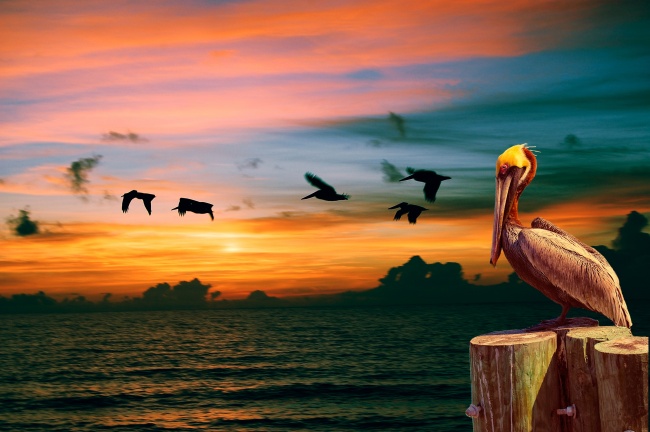 第一运程 2023年8月11日十二生肖运势解析