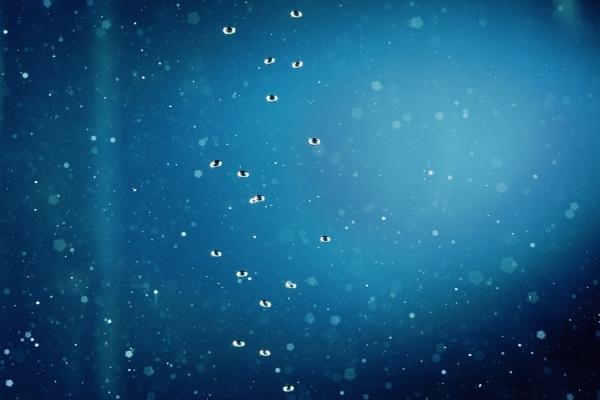 1996年属鼠的转折点在哪年,96年属鼠什么时候转运