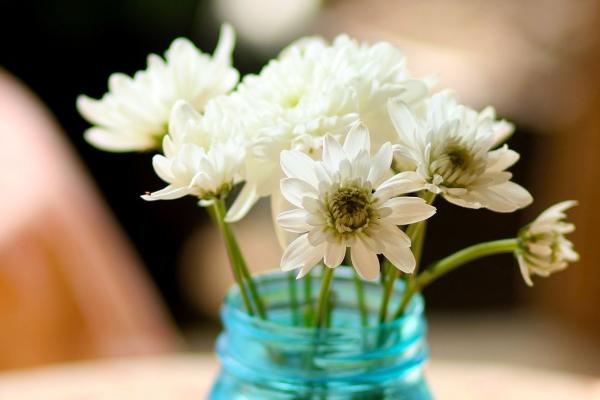 第一运程 2023年8月13日十二生肖运势解析