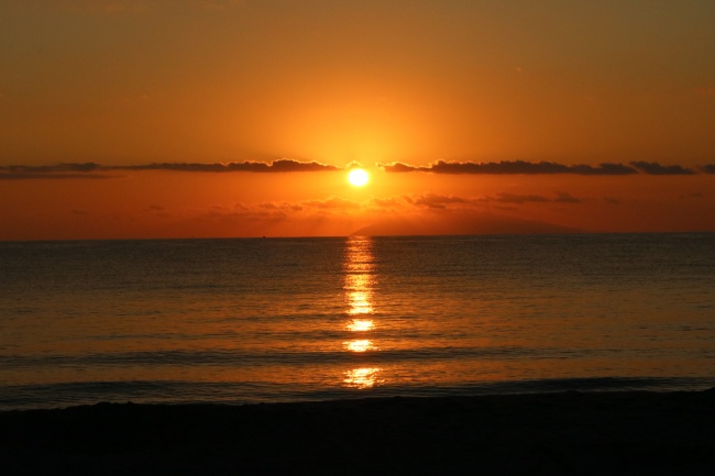 "优质男必看!揭秘四大生肖女的新颖吸引力与迷人魅力!"