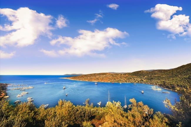 2023年进入九紫离火运 迎来好兆头 财运不断