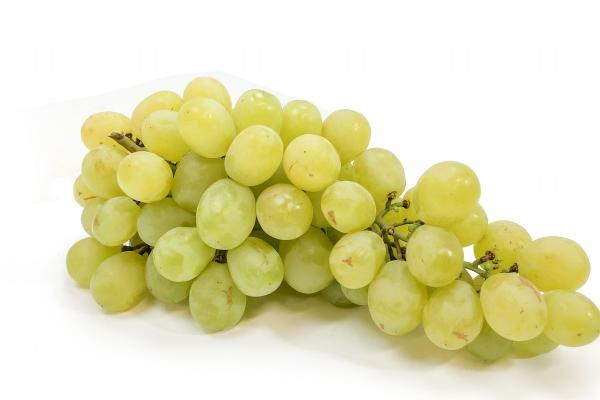 "爱情催化剂!四大生肖女带你领略旺夫运的奇妙魔力!"