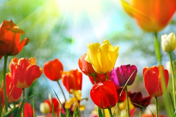 86年属虎注册公司旺财的名字，什么名字最好