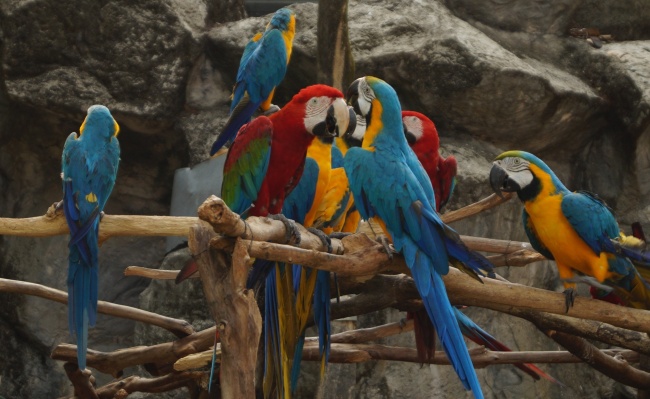 第一运程 2023年8月27日十二生肖运势解析