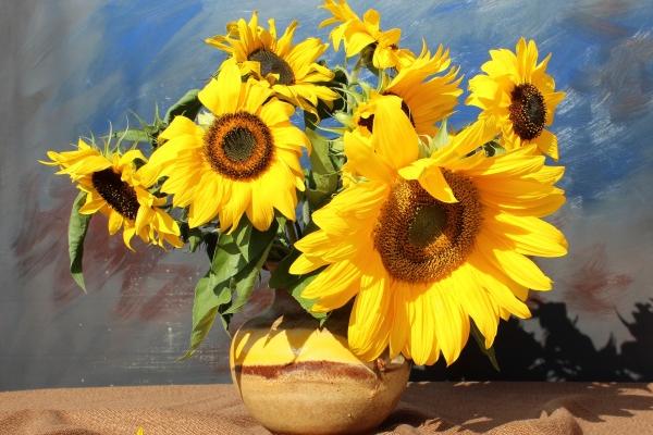 蛇男最宠哪个生肖女 如何疼爱另一半