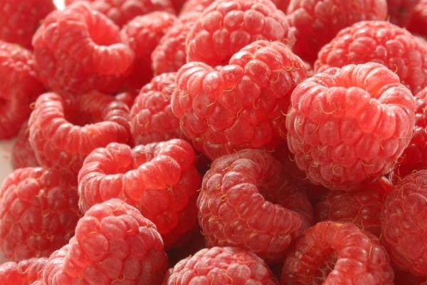 "引爆心动!揭秘四大生肖女的新颖吸引力与暧昧天赋!"