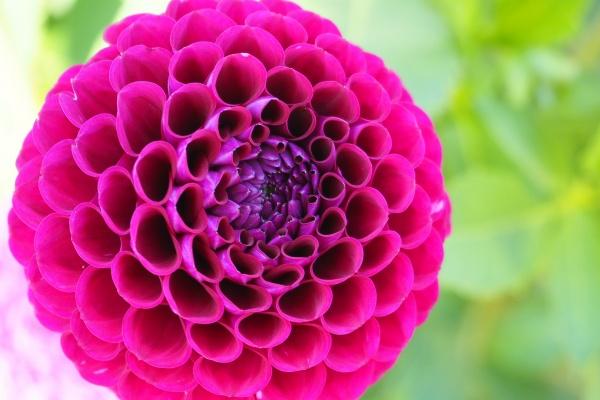 1944年属什么生肖多大2023 五行属什么