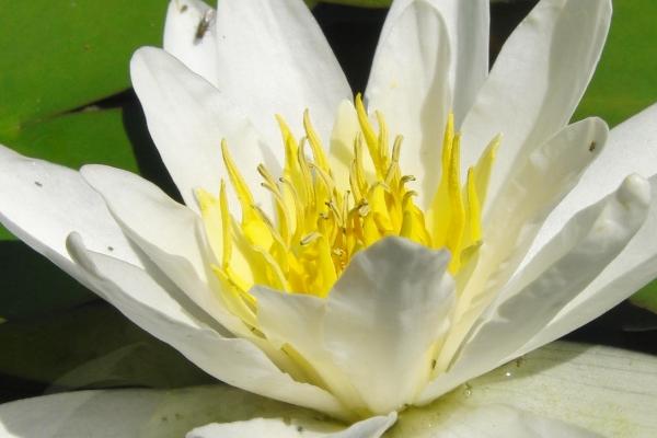 2023年8月24日生肖相冲 今日属相冲什么