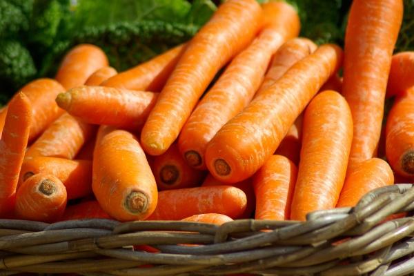 62年属虎人躲不过去的大难，是什么灾难