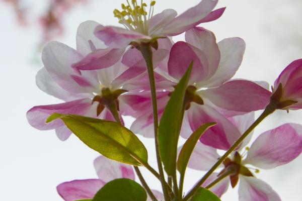 2024年4月财运逆天的生肖 鼠马猪财神爷光顾财源滚滚