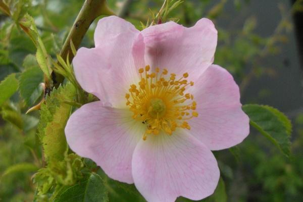 蛇最忌讳的三个属相,属蛇需要远离谁