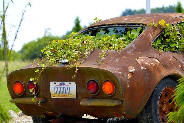 属虎女和属羊男相配吗 在一起后的幸福指数是多少