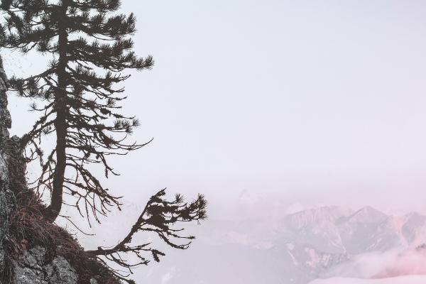 属猴人2024年整体运势及运程  2024年属猴人的全年运势详解