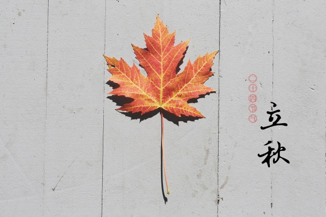 今年马跟什么属相相冲 如何化解属相相冲