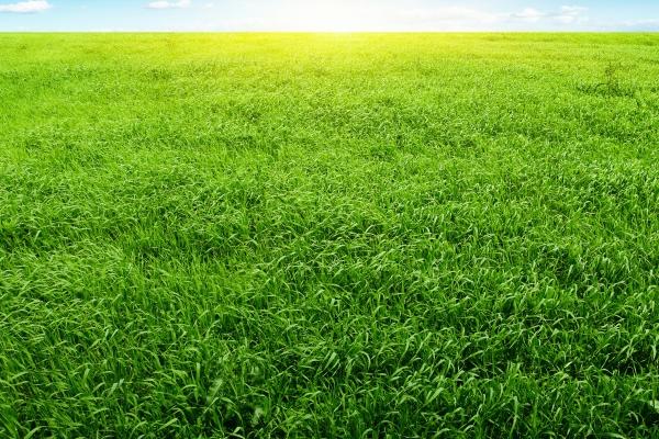 属蛇的人适合搞养殖业吗,有什么说法