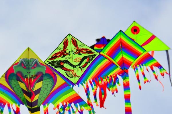 1962年属虎人2024年全年运势详解  62岁生肖虎2024年每月运势