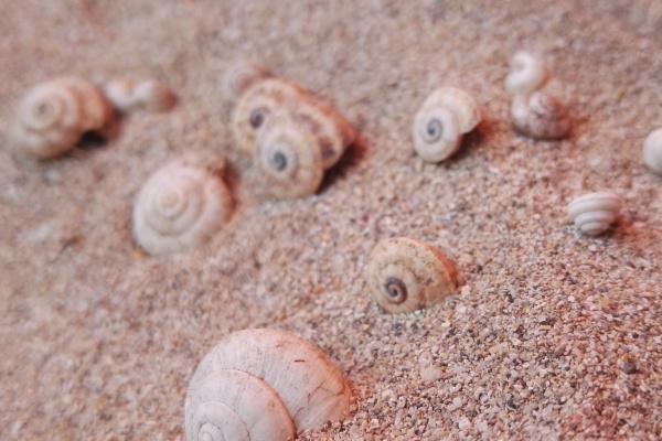 1997年属牛人2024年全年运势详解 27岁生肖牛2024年每月运程