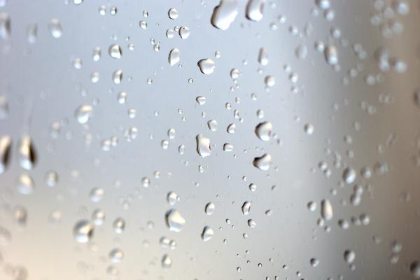 1955年属羊人2024年全年运势详解 69岁生肖羊2024年每月运势