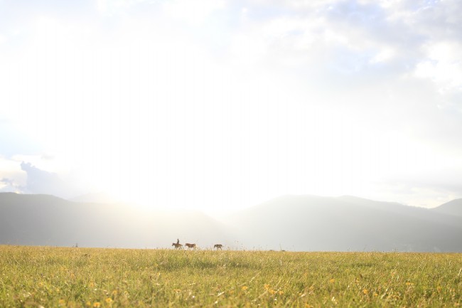 2024哪些生肖可以结婚 结婚如何挑选良辰吉日