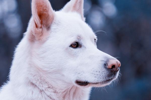 第一运程 2023年十二生肖10月运程解析