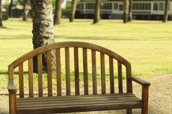 1988年属龙人2024年全年运势详解  36岁生肖龙2024年每月运势