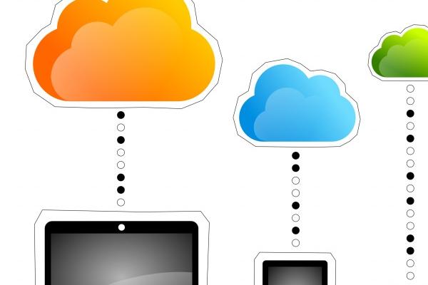 1969年属鸡人2024年全年运势详解  55岁生肖鸡2024年每月运势