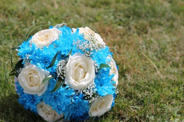 鼠和哪个属相最合适 和谁才是天作之合