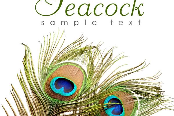 2024的狗生肖运势 狗属相遭岁破克制