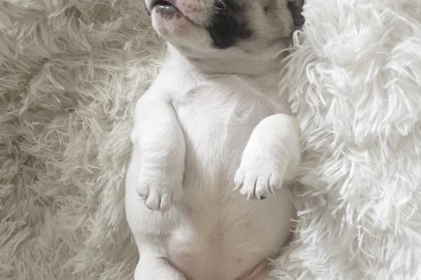 1983出生的人今年财运如何 如何催旺财运