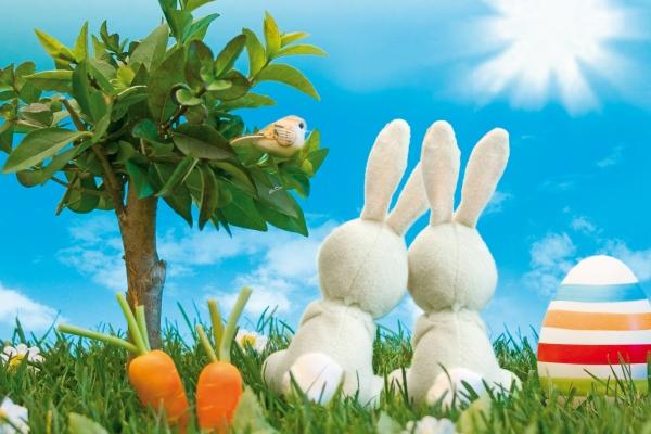 为什么说龙狗越冲越旺，龙配狗有哪些说法？