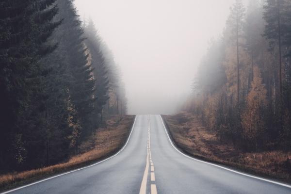 2024是个什么生肖 生肖龙的五行属相