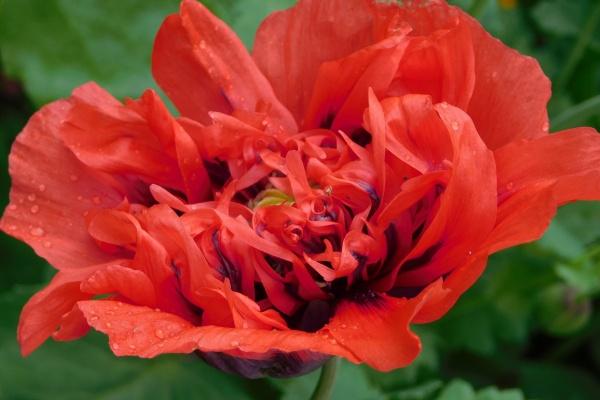 2024年大运以后什么人走运 龙格外倒霉